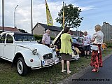 Zandlemig Vlaanderen